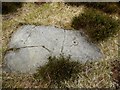 NZ9601 : Cup & ring carved stone, Brow Moor by Andrew Curtis