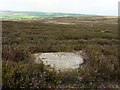 NZ9601 : Cup marked boulder, Brow Moor by Andrew Curtis