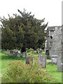 Churchyard in Petworth town centre (9)