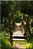 TQ0316 : Footbridge on the Wey South Path, Coldwaltham, Sussex by Peter Trimming