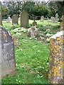 Flowers in the churchyard, Holy Trinity Church