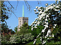 Braughing Church from the Bridge adjacent to the Ford