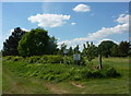 A corner of Retford golf course near the club house