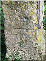 Bench Mark on milestone, Chippenham