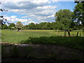 Fields near Stanyards