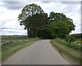 Approach to a tree-lined avenue