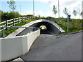 Subway under Sir Isaac Newton Way