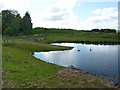 Surface water management pond