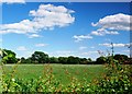 View from Long Lane.