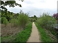 Footpath towards Hey Green