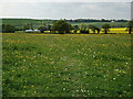 Distant view of Wood Farm