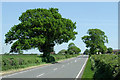 Watling Street near Belvide Reservoir, Staffordshire