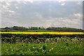 View south from the A153 - West Willoughby