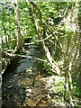 Hebble Brook - near Boy Lane