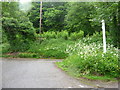 East Devon : Country Road Junction