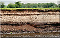 C9024 : Diatomite layer near Ballymoney by Albert Bridge