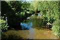 River Arrow in Alcester