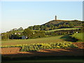 Cultivation near Milecross Road