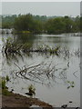 By the lake at the old gravel pits