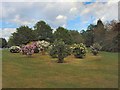 TQ2907 : Lilacs in Withdean Park by Paul Gillett
