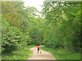 Recreation in Alice Holt Forest