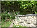 Steps leading from Scarwood Footbridge