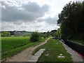 Early evening towpath