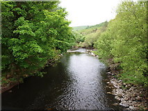 T1495 : Avonmore river Co. Wicklow by IrishFlyFisher