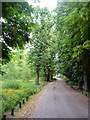 Road from Northfield Manor House