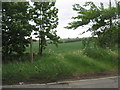 Public footpath  from Dalton Back Lane