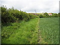 Footpath from Selly Cottage