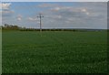 Farmland near Waltham on the Wolds