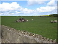TA1574 : Farmland at Speeton by John S Turner