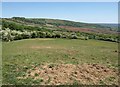 On Bleadon Hill