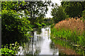 River Slea at Haverholme Lock