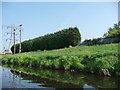 Tall hedge and strong fence