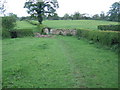 Stone Wall and Gate