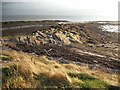 Beach, Limekilns