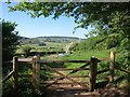 Gate on West Mendip Way