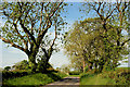 The Mountainview Road near Loughbrickland