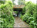 Rather wet footpath under the railway line