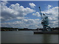 Crane at Blue Boar Creek, Rochester