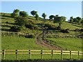 Track near Longbottom Farm