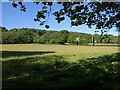 Field near Winscombe