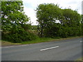 Footpath to Ashford