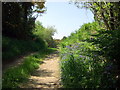 Old quarry entrance