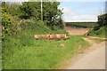 Farm Roller by the gateway 