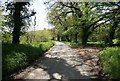 Lane looking towards Menheniot