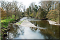 SD4985 : The Kent River at Levens Hall. by Brian Clift