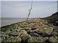 Sea defences near Warden Point, Isle of Sheppey